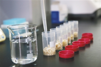 昨日，北京智云达科技有限公司实验室，实验人员对6种面食进行甲醛检测。