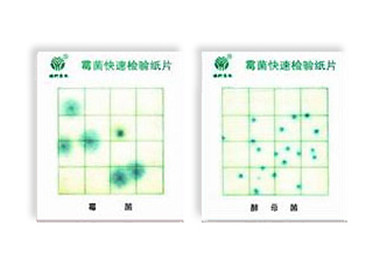 霉菌、酵母菌测试片