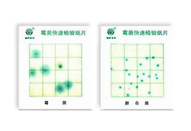 大肠菌群检测