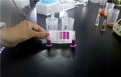 北京智云达与法制晚报直播验证——泡菜真的亚硝酸盐超标?